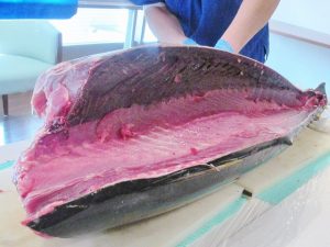 大宮ケアホーム光　マグロの解体ショー