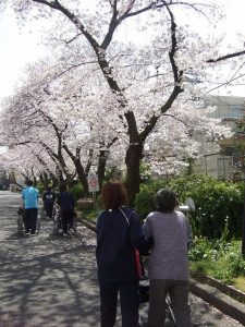 グループホームゆめの里　お花見