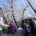 グループホームゆめの里　お花見