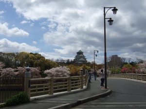 グループホームゆめの里　お花見